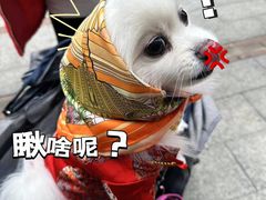 -中海环宇荟