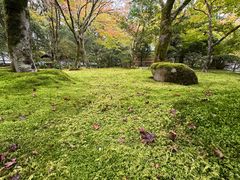 -西芳寺(苔寺)