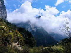-鹿院坪生态旅游景区