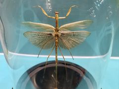 -惠州西湖风景名胜区-丰渚园