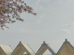 -望海·帆船主题咖啡厅•品茗下午茶(石湖景区店)