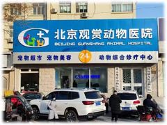 -北京观赏动物医院·24小时大型综合·猫专科·异宠专科