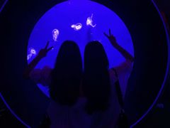 -成都浩海立方海洋公园