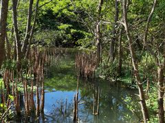 -白沙门生态公园