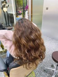 -Tloml salon