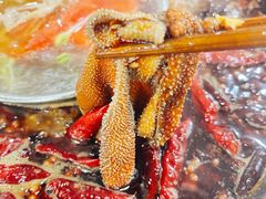 -渝杨胖娃老火锅(中兴路店)