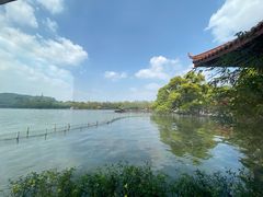 -湖畔居茶楼(湖滨店)