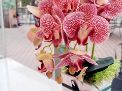 -妙井の茶(罗湖地王店)