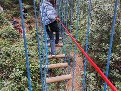 -衢州大荫山丛林飞越探险乐园