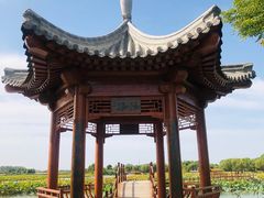 -白洋淀风景区