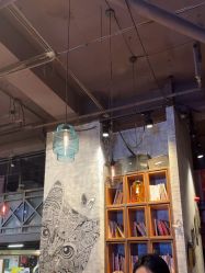 -T.1 hair salon烫染接发