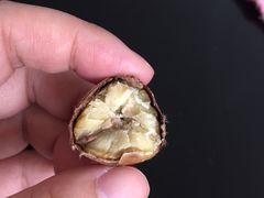 -陈记栗子(长宁路店)