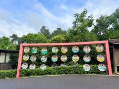 -南京眼步行桥
