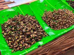 -席娜卡琳火车铁道夜市