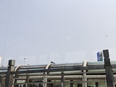 -金鸡湖游船(月光码头)