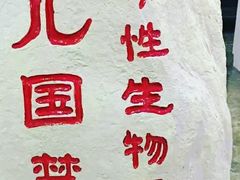 -CMC大光明影城(莲花店)