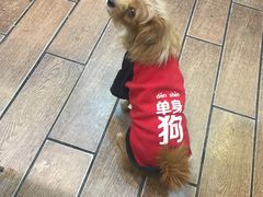 -兄弟深夜豆浆