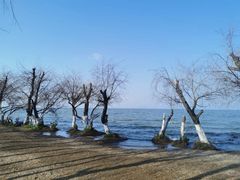 -捞渔河湿地公园