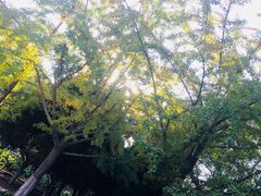 -辽宁大学(崇山校区)