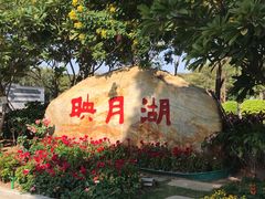 -映月湖公园