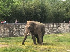 -西安秦岭野生动物园