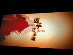 -奥斯卡升龙国际影城(RealD Cinema)