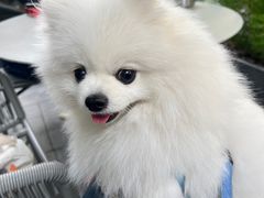 -Wagas沃歌斯(大学路店)