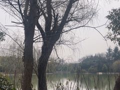 -上海野生动物园