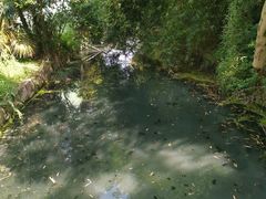 -荆州中山公园动物园