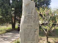 -圆明园停车场