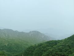 -大岭沟猕猴桃谷风景区