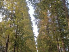 -前小桔亲子创意农场·草莓采摘·露营烧烤