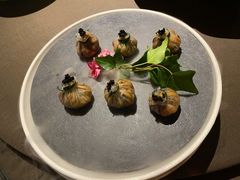 云南黑虎掌菌布袋-三利音·东方司宴(外滩店)
