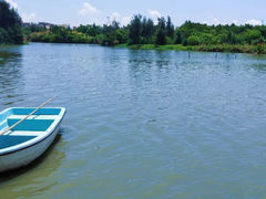 -五缘湾湿地公园