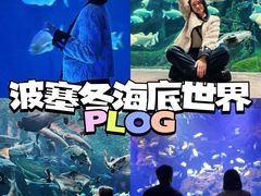 -哈尔滨波塞冬海底世界