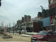 -小李子油焖大虾(天下城旗舰店)