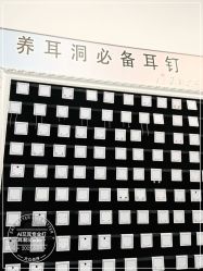 -AI艾耳·专业手工耳洞·穿孔美学馆