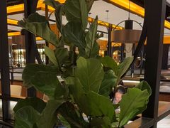 -半秋山西餐厅(宜昌大洋店)