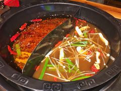 菌汤鸳鸯锅-临江门重庆老火锅(德新里店)