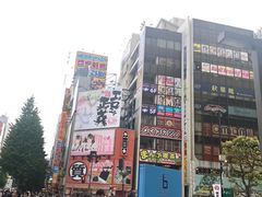 -秋叶原电器街