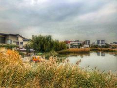 -天津东丽湖风景区