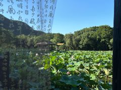 -兰亭风景区