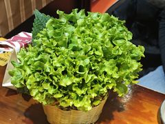 -火炉情韩国料理店(古田路店)