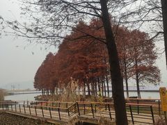 -东钱湖旅游度假区