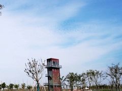 -春花秋色城市公园