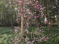 -成都杜甫草堂博物馆