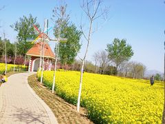 -济南植物园