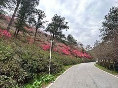 -木兰云雾山