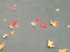-迎泽公园