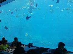 -瑞德姆美人鱼海底演艺主题餐厅(亚龙湾店)